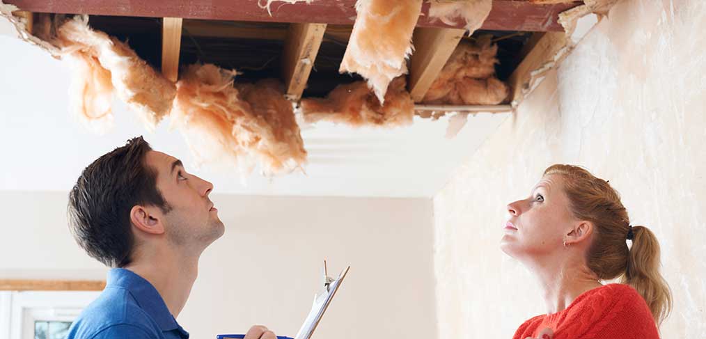 What insurance does a builder need?