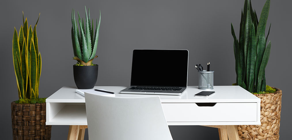 Small Business Insurance North Brisbane