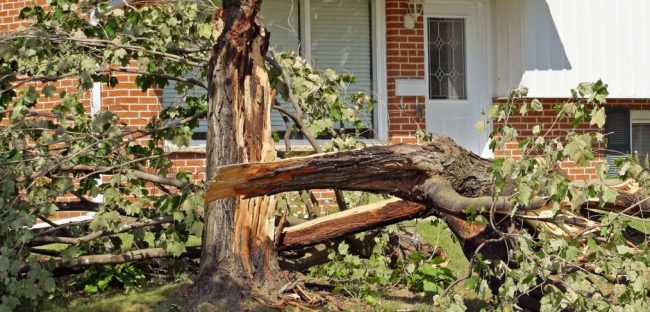 Tips to Prepare Your Property and Yourself This Storm Season