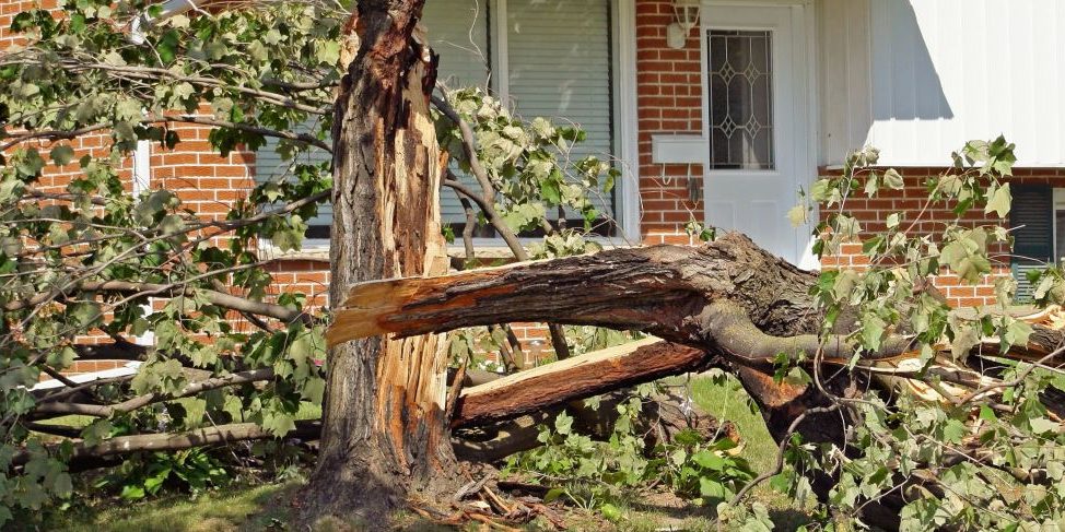 Tips to Prepare Your Property and Yourself This Storm Season