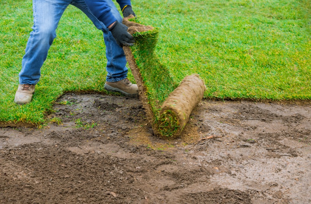 landscaping-2